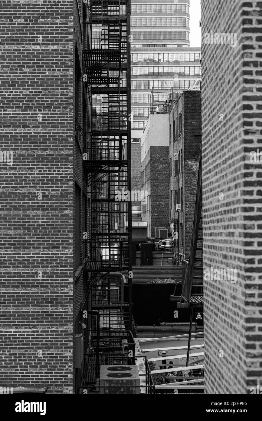 Chelsea, New York City, NY, USA, The High Line est un parc linéaire populaire construit sur les voies de train surélevées au-dessus de Tenth Ave Banque D'Images