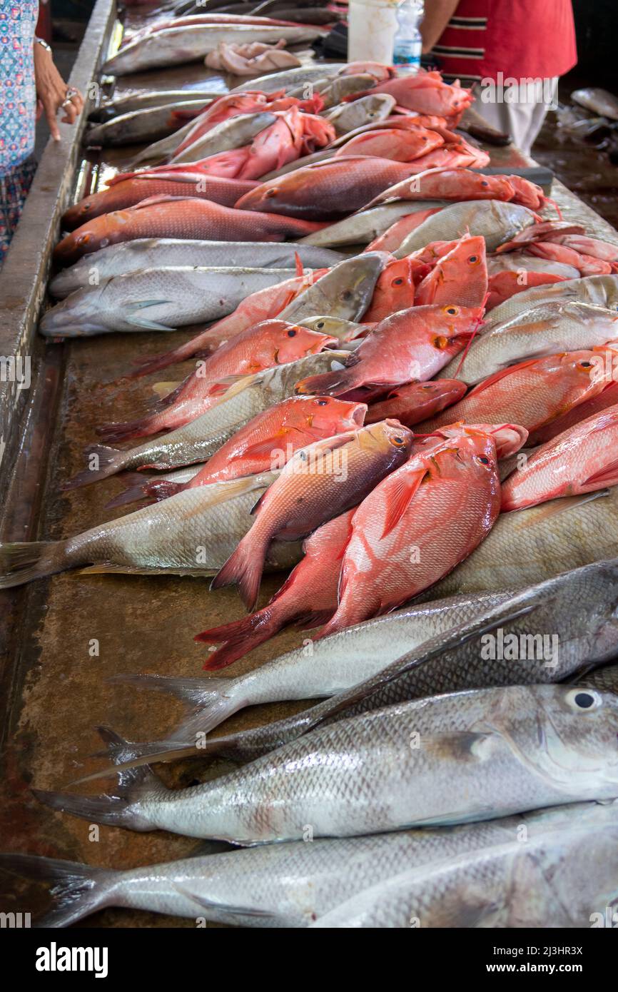 Sir Selwyn Selwyn-Clarke Market Victoria Mahe Seychelles / Street Photography Banque D'Images