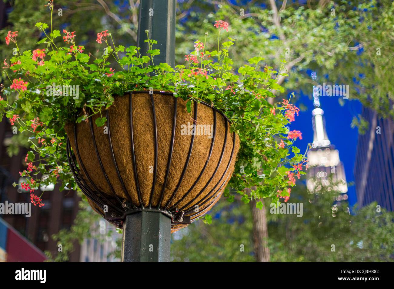 QUARTIER DES VÊTEMENTS, New York City, NY, Etats-Unis, fleurs suspendues autour Banque D'Images