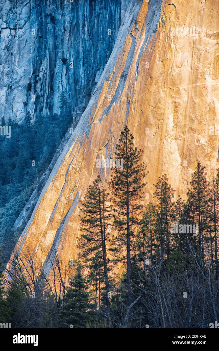 Vue du matin sur la partie inférieure d'El Capitan dans le parc national de Yosemite Banque D'Images