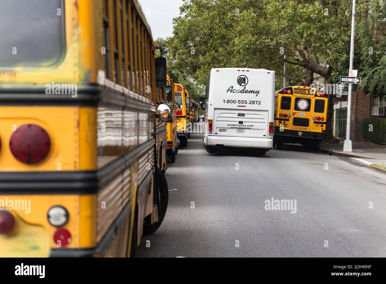 Wiliamsburg, New York City, NY, Etats-Unis, beaucoup de bus scolaires Banque D'Images