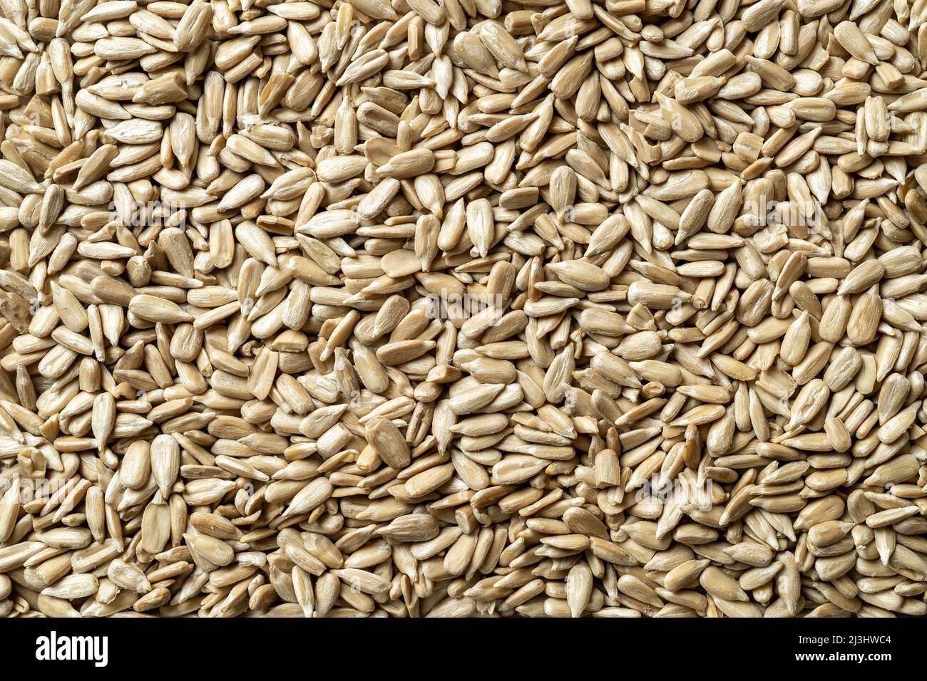 Arrière-plan macro de graines de tournesol décortiquées. Texture des noyaux Helianthus sans coque. Graines de tournesol crues organiques pour une alimentation saine sans gluten. Banque D'Images
