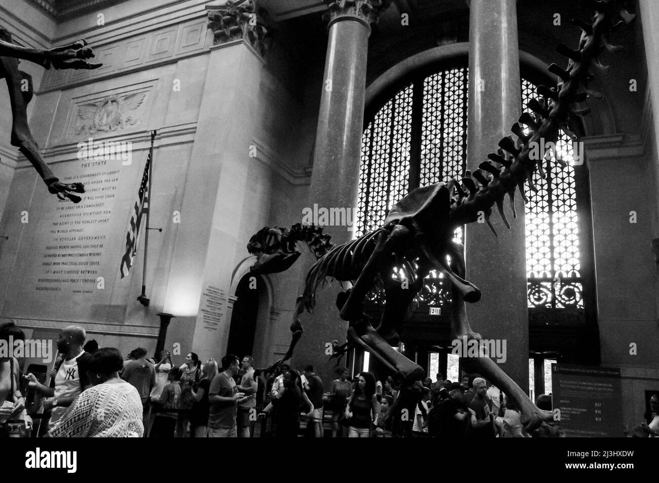 81 STREET - MUSEUM OF NATURAL HISTORY, New York City, NY, États-Unis, lieu de tournage de « Night at the Museum » Banque D'Images