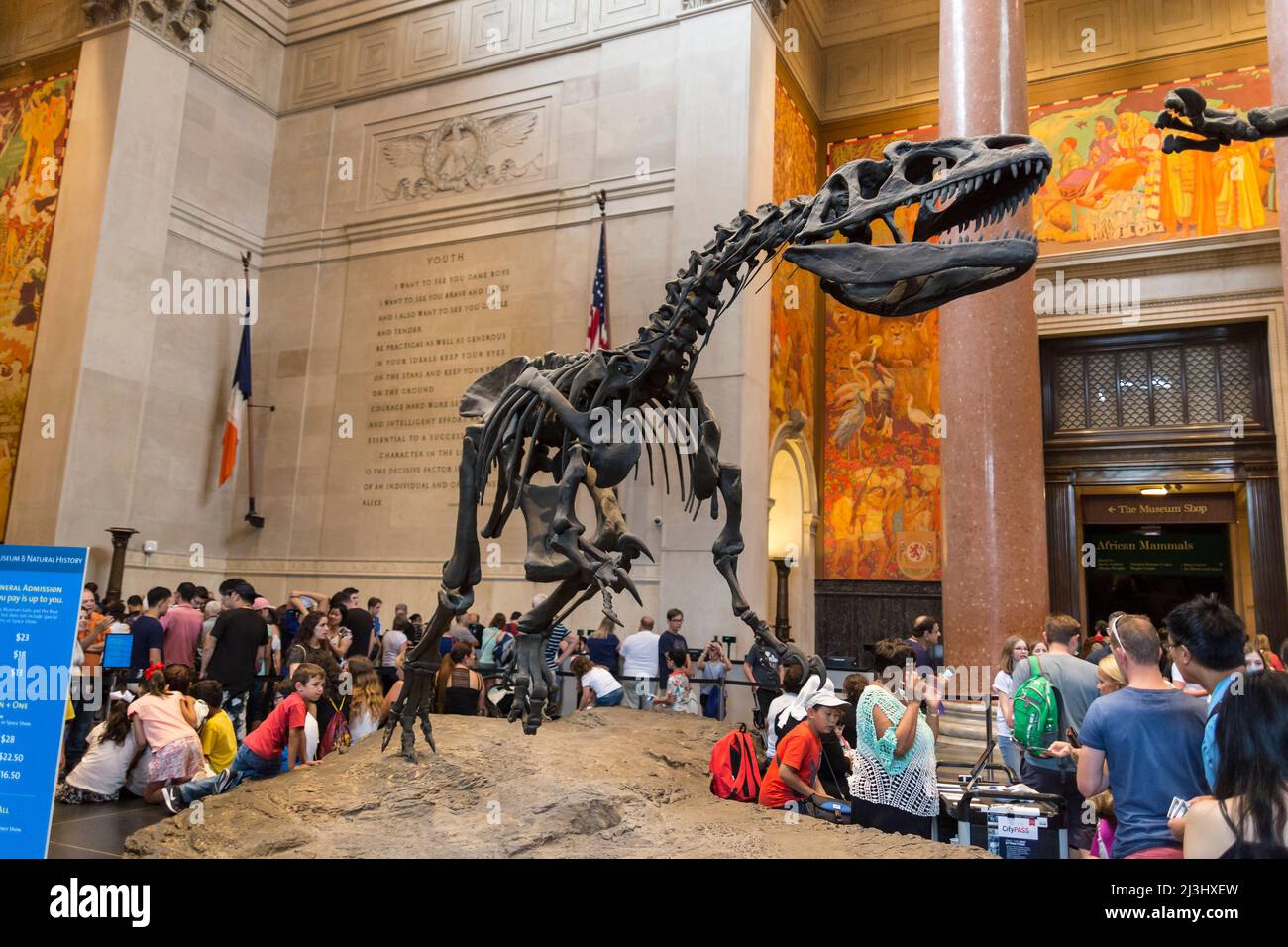 81 STREET - MUSEUM OF NATURAL HISTORY, New York City, NY, États-Unis, lieu de tournage de « Night at the Museum » Banque D'Images