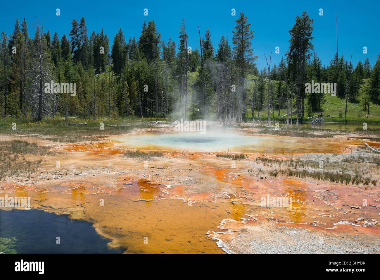 Orange Spring dans le parc national de Yellowstone, Upper Geyser Basin Banque D'Images