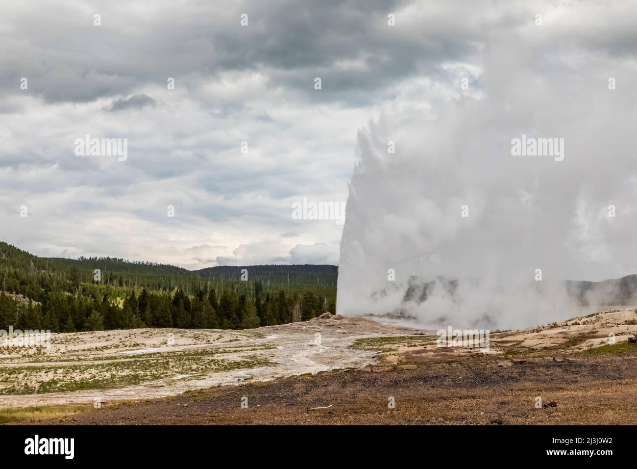 Le geyser Old Faithful éclate à peu près à l'horaire dans le parc national de Yellowstone, États-Unis Banque D'Images