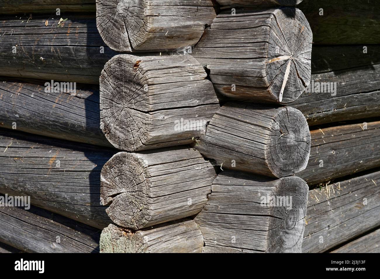 Allemagne, Bavière, haute-Bavière, Berchtesgaden, Ramsau, Klausbachtal, Hirschbichl, Bindalm, cabane en rondins, grange, connexion, détail Banque D'Images