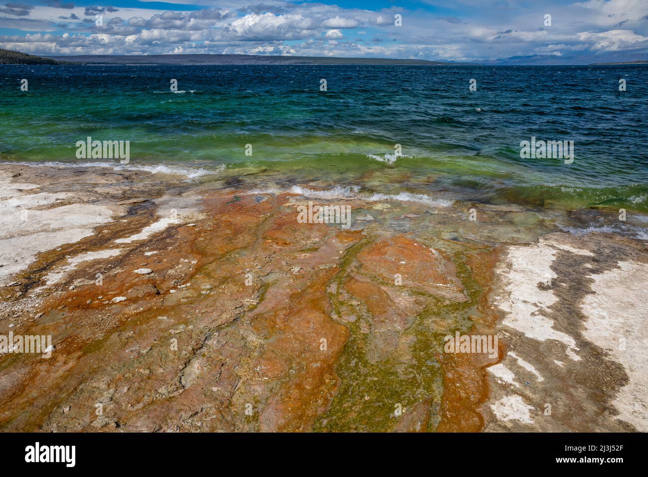 Caractéristiques thermales dans le bassin West Thumb Geyser le long du lac Yellowstone dans le parc national de Yellowstone, États-Unis Banque D'Images