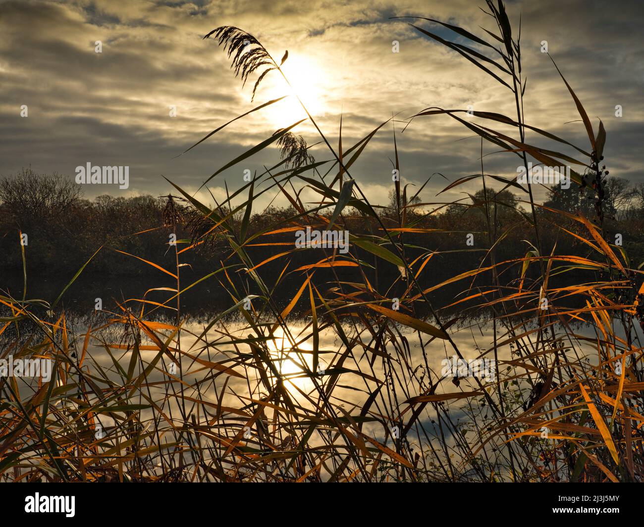 Europe, Allemagne, Hesse, Lahn-Dill-Bergland, Gleiberger Land, Lahnpark, automne dans les prés de Lahn, réserve naturelle de 'Sändchen' près d'Atzbach Banque D'Images