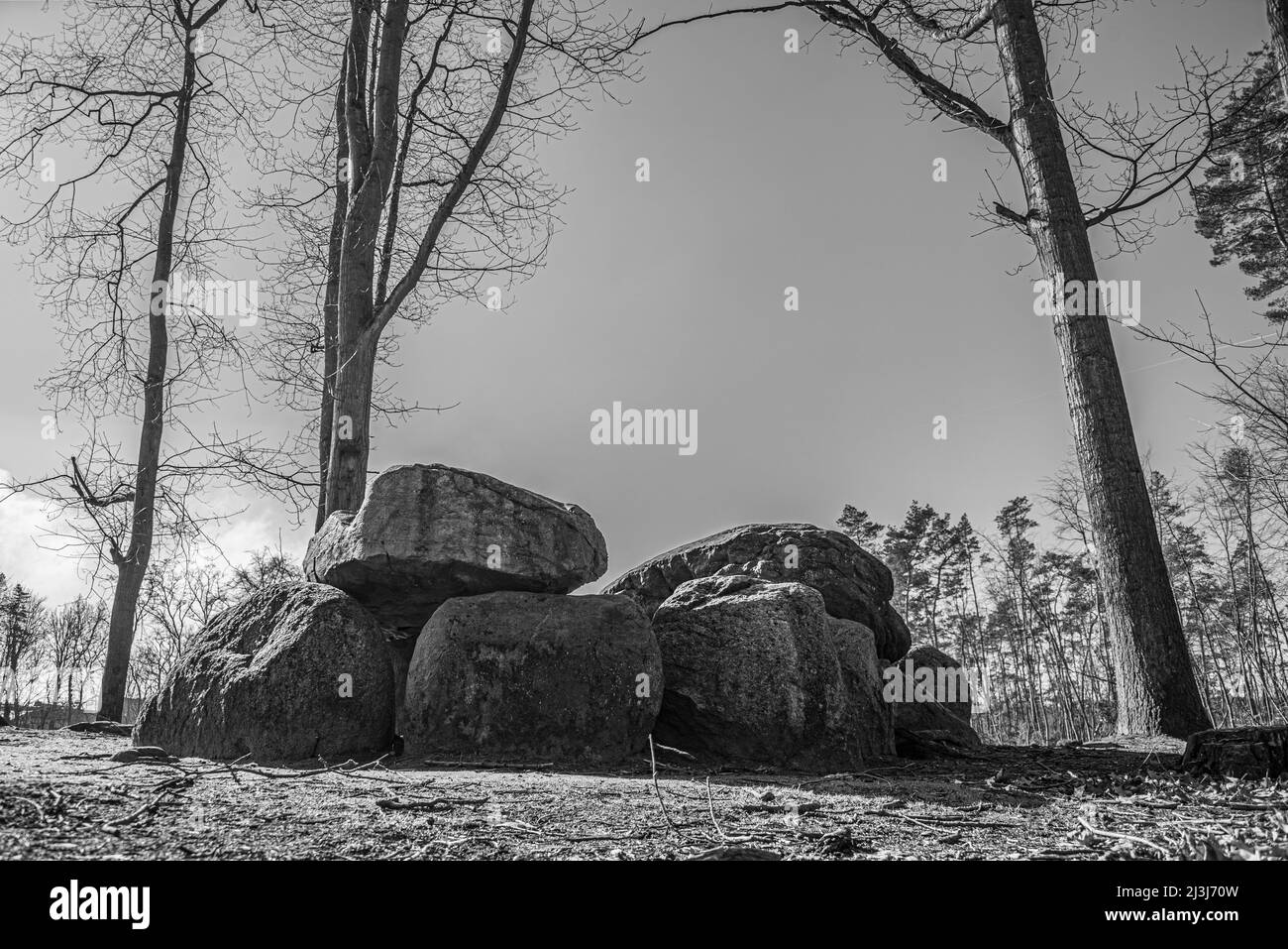 Großsteingrab, Hühnengrab, Haldensleben, Saxe-Anhalt, Allemagne Banque D'Images