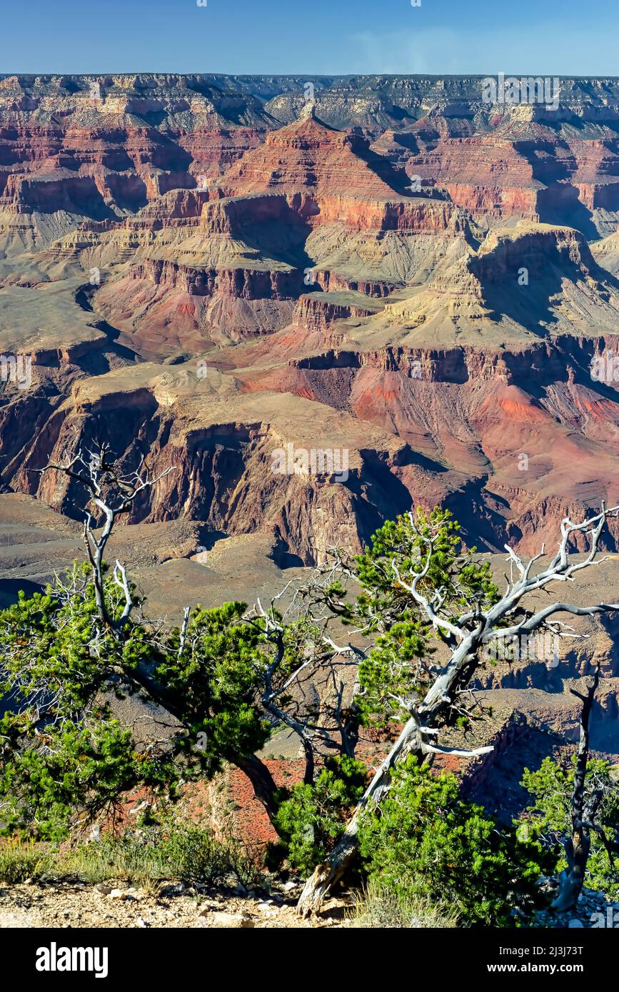 Vue panoramique du Grand Canyon au lever du soleil depuis le plateau sud de Hopi point Banque D'Images