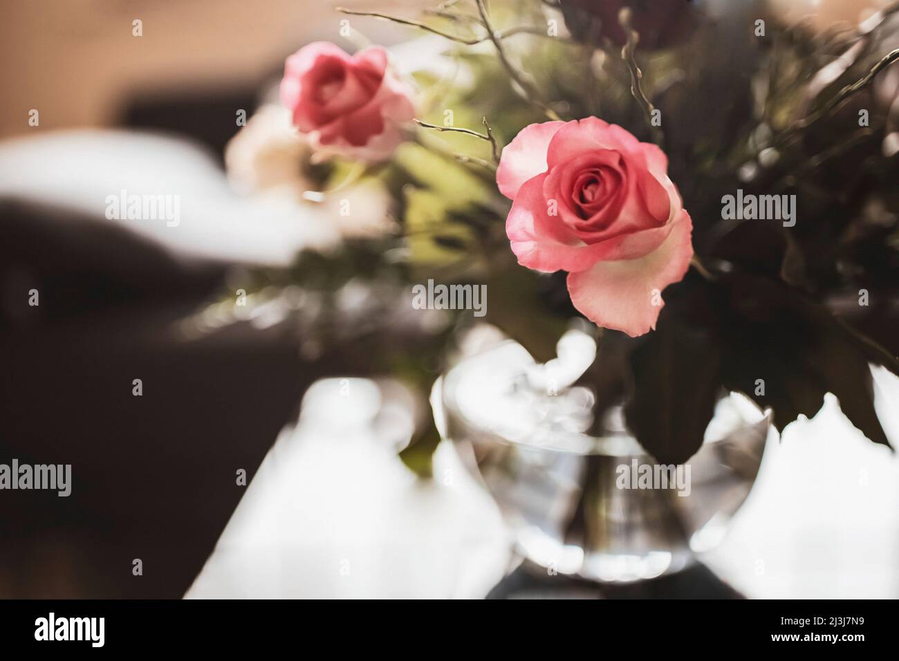 Roses dans un vase en verre. Banque D'Images