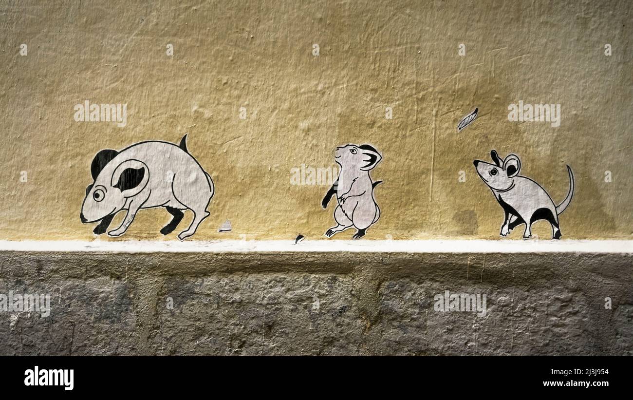 Graffiti dans la vieille ville de Montpellier. ' Si le chat est hors de la maison, les souris dansent sur la table '. Banque D'Images