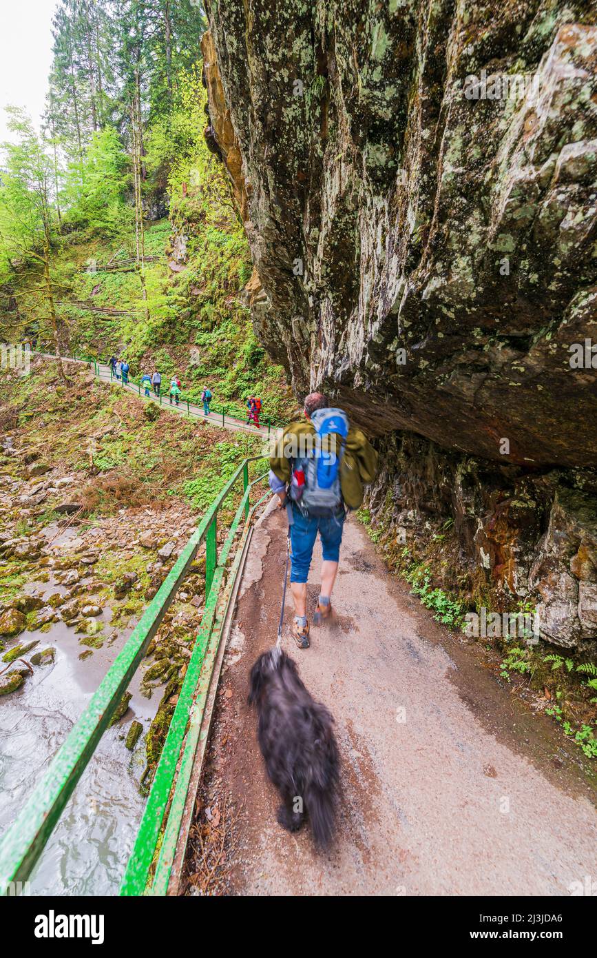 Une personne avec un chien (Terrier tibétain) marche à travers la gorge Banque D'Images