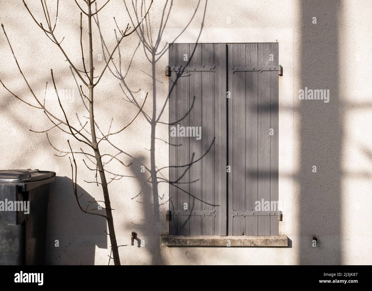 Volets gris fermés sur les murs grèges de la maison vus de l'extérieur avec des ombres des branches d'arbres. Pris lors d'une journée d'hiver ensoleillée en France Banque D'Images