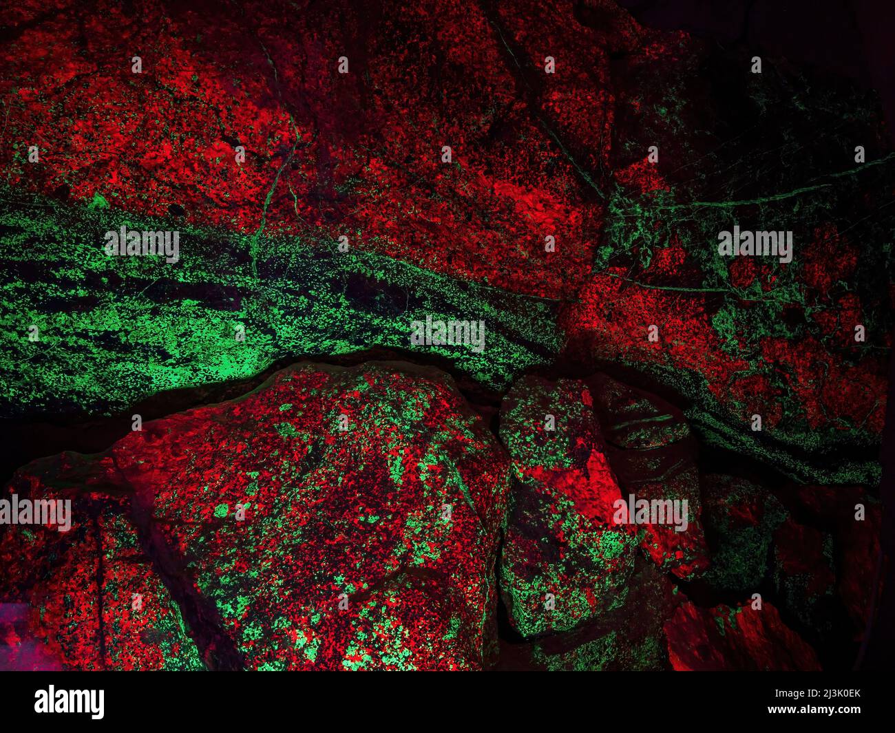 Gros plan de Willemite, zinc ORC s'allume sous la lumière ultraviolette à Washington DC Banque D'Images