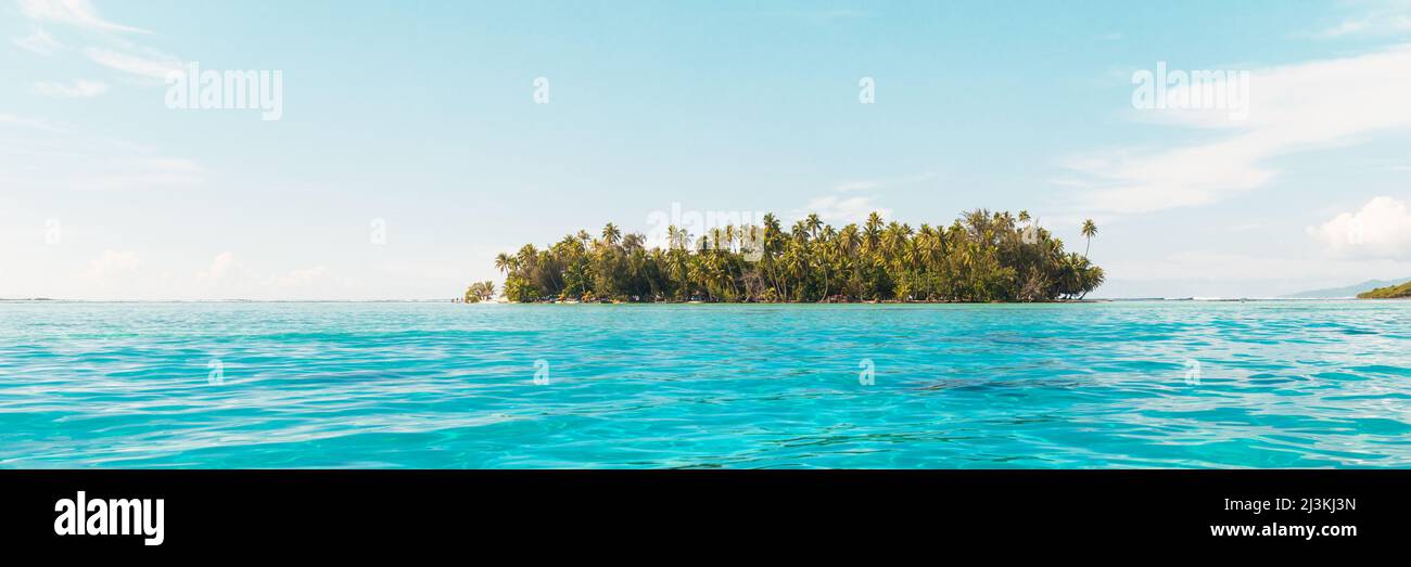 Plage paradisiaque voyage vue de vacances de l'île tropicale motu idyllique mer cristalline turquoise dans l'atoll de Rangiroa, les îles de Tuamotu, Polynésie française Banque D'Images