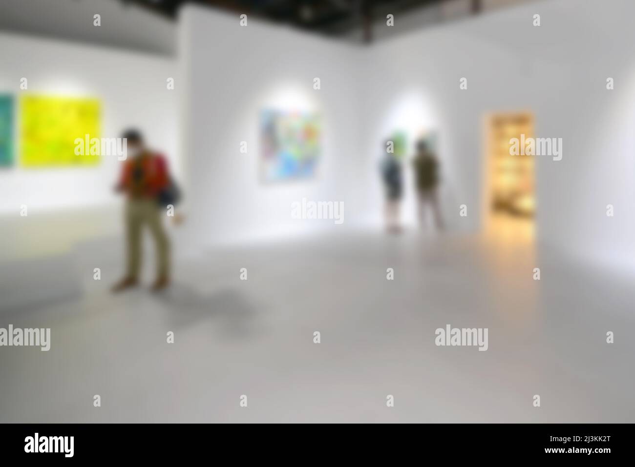 Personnes regardant des peintures sur le mur blanc dans la galerie d'exposition d'art. Arrière-plan flou. Banque D'Images