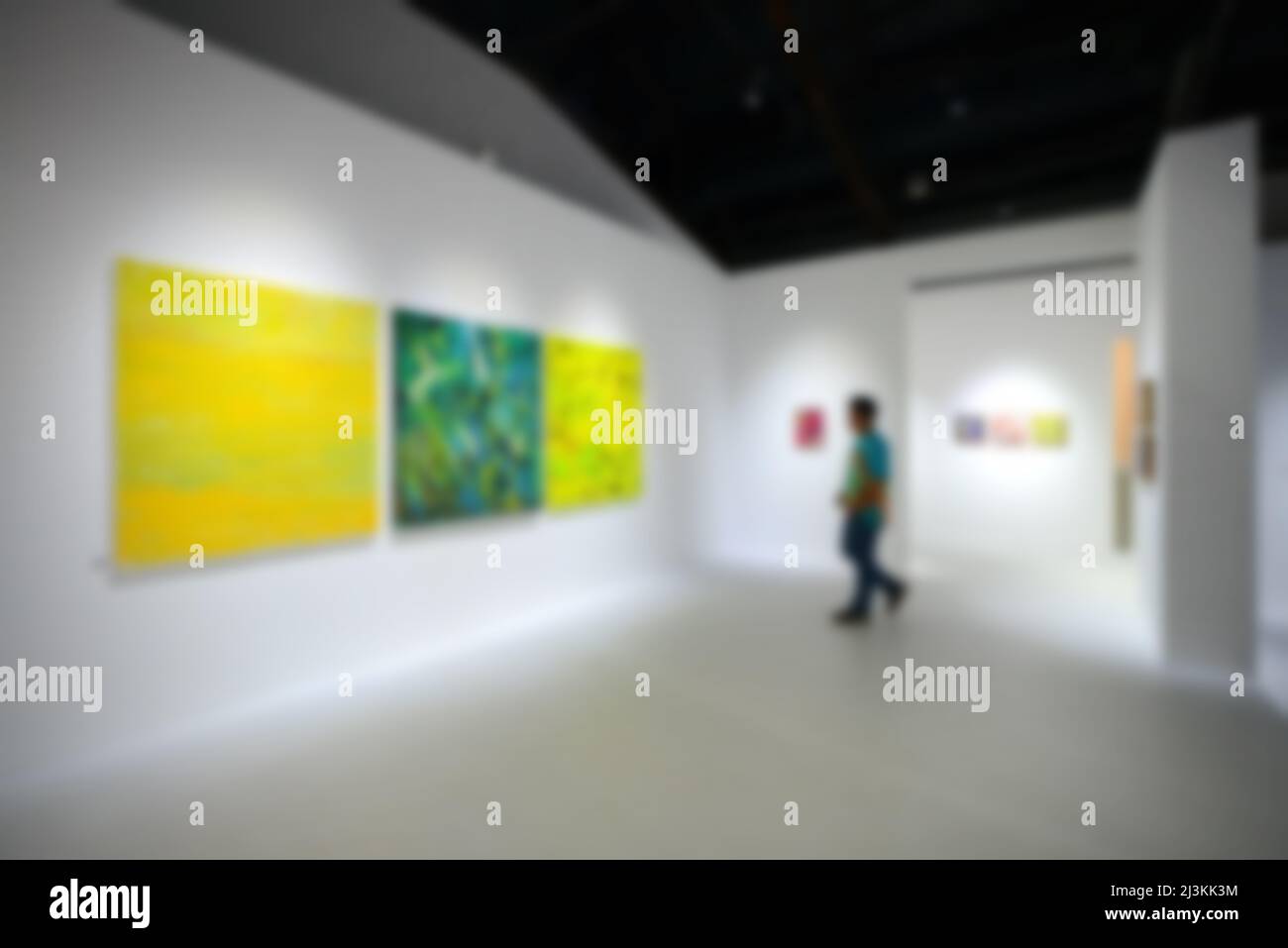 Personnes regardant des peintures sur le mur blanc dans la galerie d'exposition d'art. Arrière-plan flou. Banque D'Images