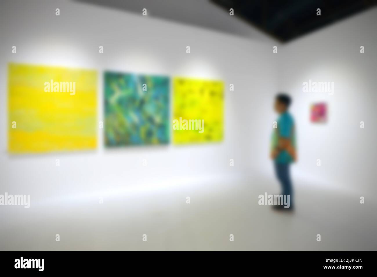 Personnes regardant des peintures sur le mur blanc dans la galerie d'exposition d'art. Arrière-plan flou. Banque D'Images