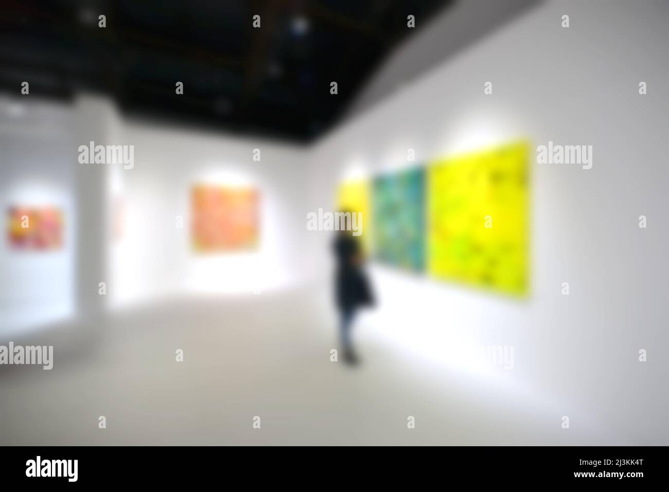 Personnes regardant des peintures sur le mur blanc dans la galerie d'exposition d'art. Arrière-plan flou. Banque D'Images