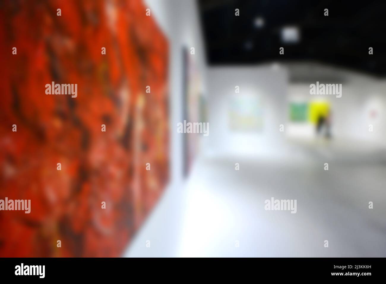 Personnes regardant des peintures sur le mur blanc dans la galerie d'exposition d'art. Arrière-plan flou. Banque D'Images