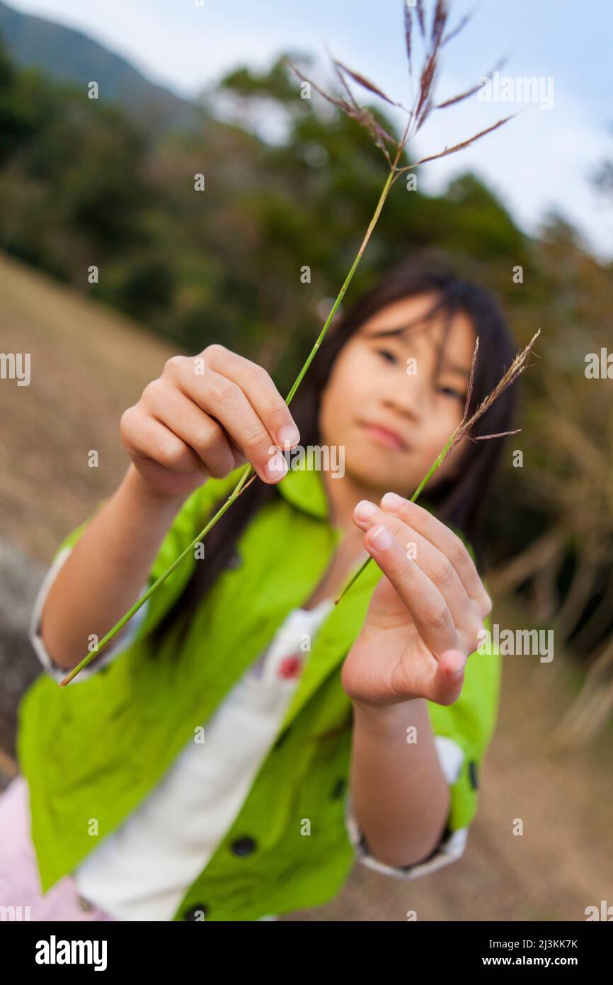 Fille tenant de l'herbe dans ses mains devant l'appareil photo; Hong Kong, Chine Banque D'Images