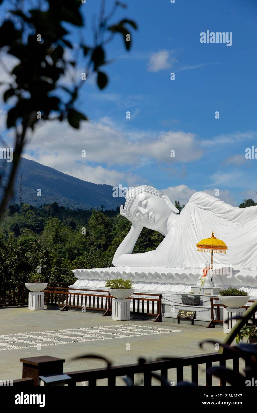 Statue blanche de Bouddha endormi dans une posture inclinable avec des arbres en arrière-plan, temple de Vihara Dharma Giri; Tabanan, Bali, Indonésie Banque D'Images