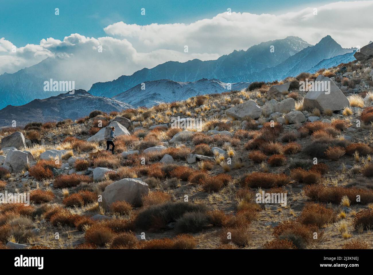 Une femme en randonnée dans l'est de la Sierra en hiver; Bishop, Californie, États-Unis d'Amérique Banque D'Images