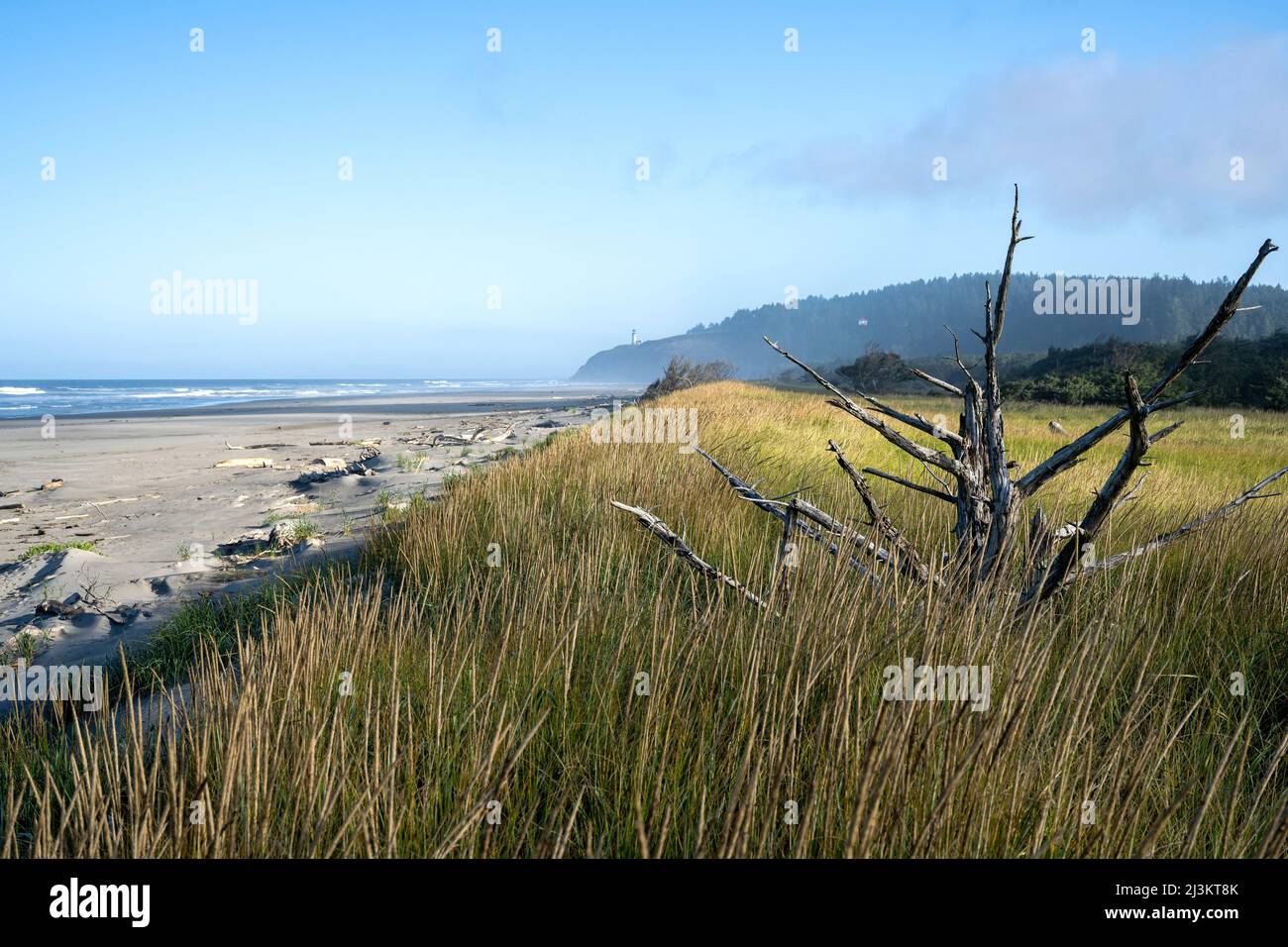 La lumière du soleil se joue le long de la plage au parc national de Cape déception à Washington, États-Unis; Ilwaco, Washington, États-Unis d'Amérique Banque D'Images