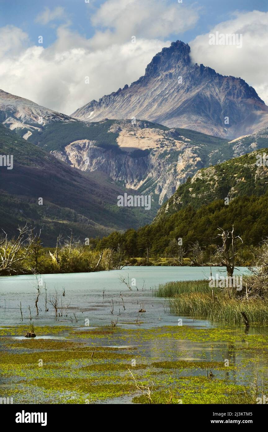 Cerro Castillo (2675 mètres) tours au-dessus du paysage, Carretera Austral, près de Villa Cerro Castillo au Chili; Patagonia, Chili Banque D'Images