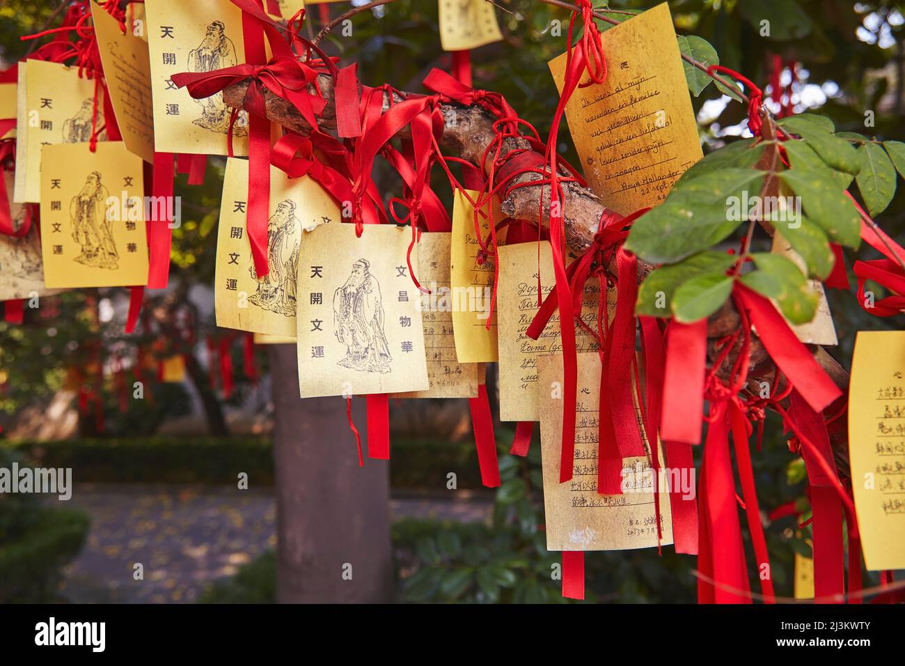 Bonne chance souhaite lié à un arbre dans le Temple confucianiste, Shanghai, Chine.; Nanshi, vieille ville, Shanghai, Chine. Banque D'Images