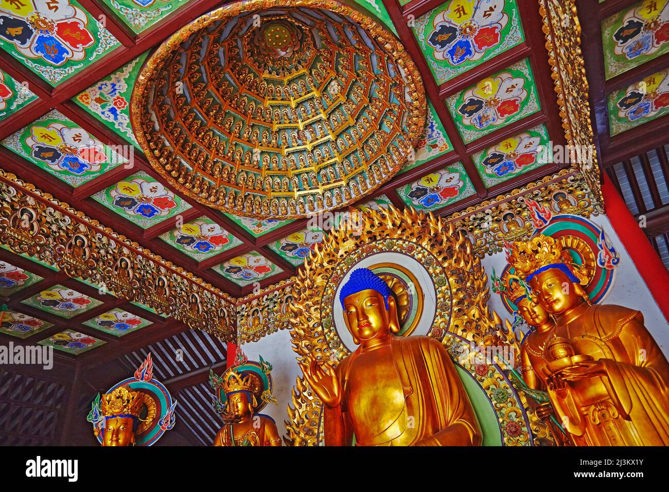 Statues de Bouddha dans la salle principale à Chenxiangge Nunnery, Shanghai, Chine.; Nanshi, vieille ville, Shanghai, Chine. Banque D'Images