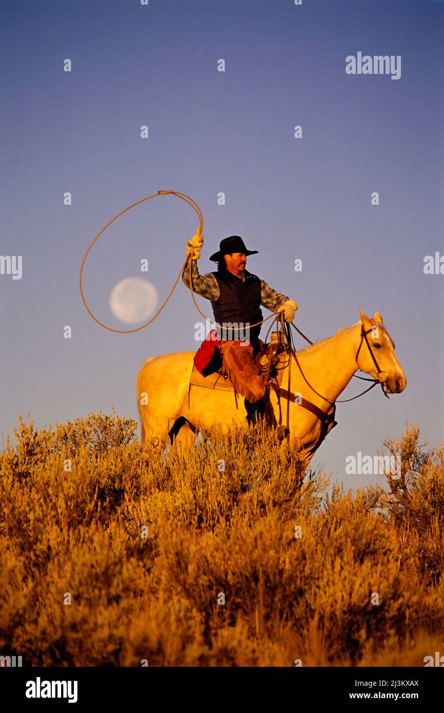 Cowboy assis à cheval avec une pleine lune capturée dans son lasso; Seneca, Oregon, États-Unis d'Amérique Banque D'Images