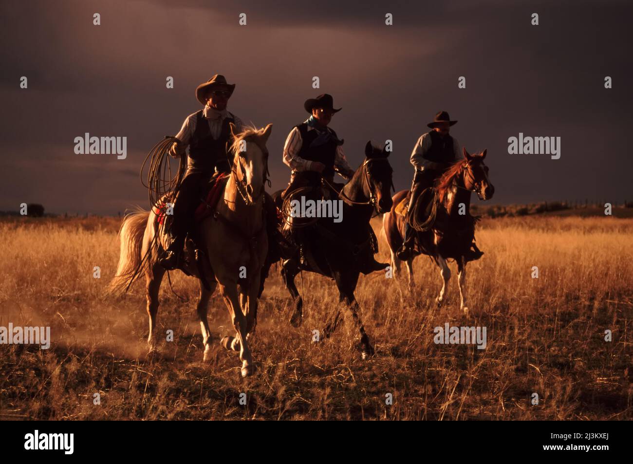 Trois cow-boys qui rôde à cheval avec des nuages de tempête menaçants au-dessus; Seneca, Oregon, États-Unis d'Amérique Banque D'Images
