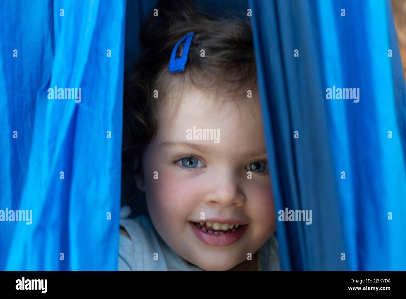 Portrait en gros plan d'une jeune fille d'avant-âge avec des yeux bleus et des joues roses qui se jettent derrière des rideaux bleus; Colombie-Britannique, Canada Banque D'Images