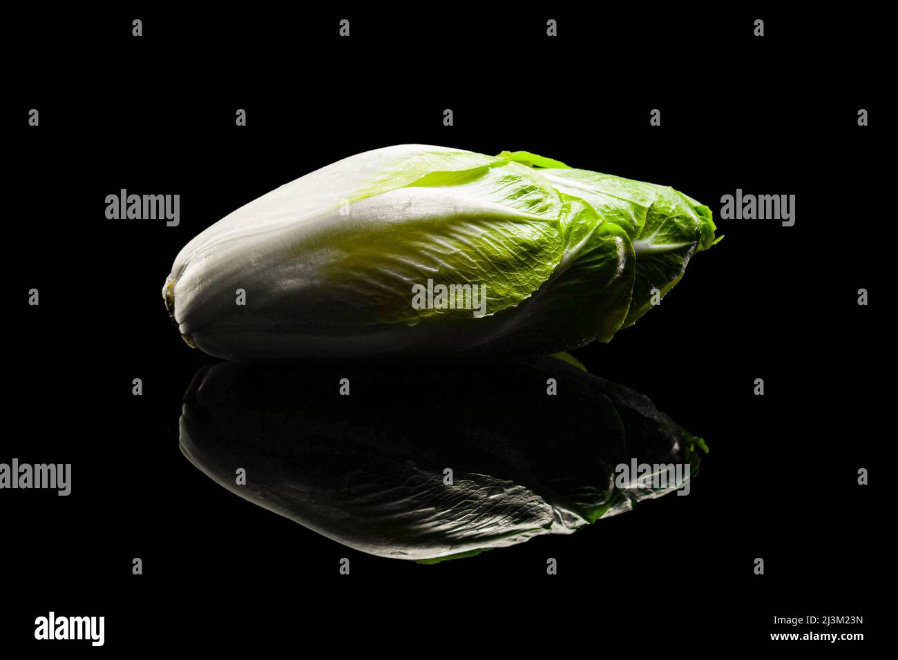 Salade de chicorée sur fond noir. Gros plan de l'endive belge fraîche, prise de vue en studio. Banque D'Images