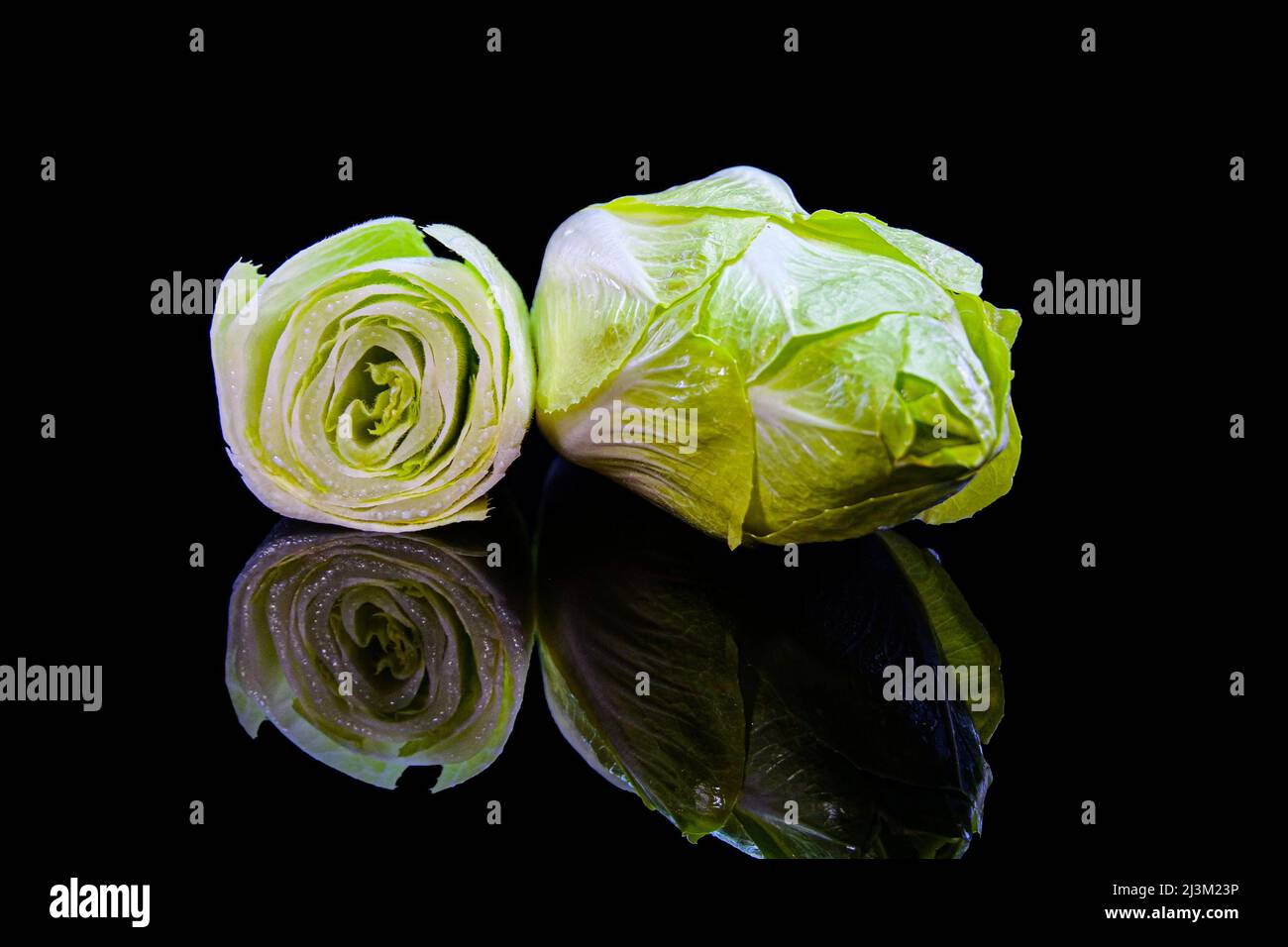 Salade de chicorée sur fond noir. Gros plan de l'endive belge fraîche, prise de vue en studio. Banque D'Images