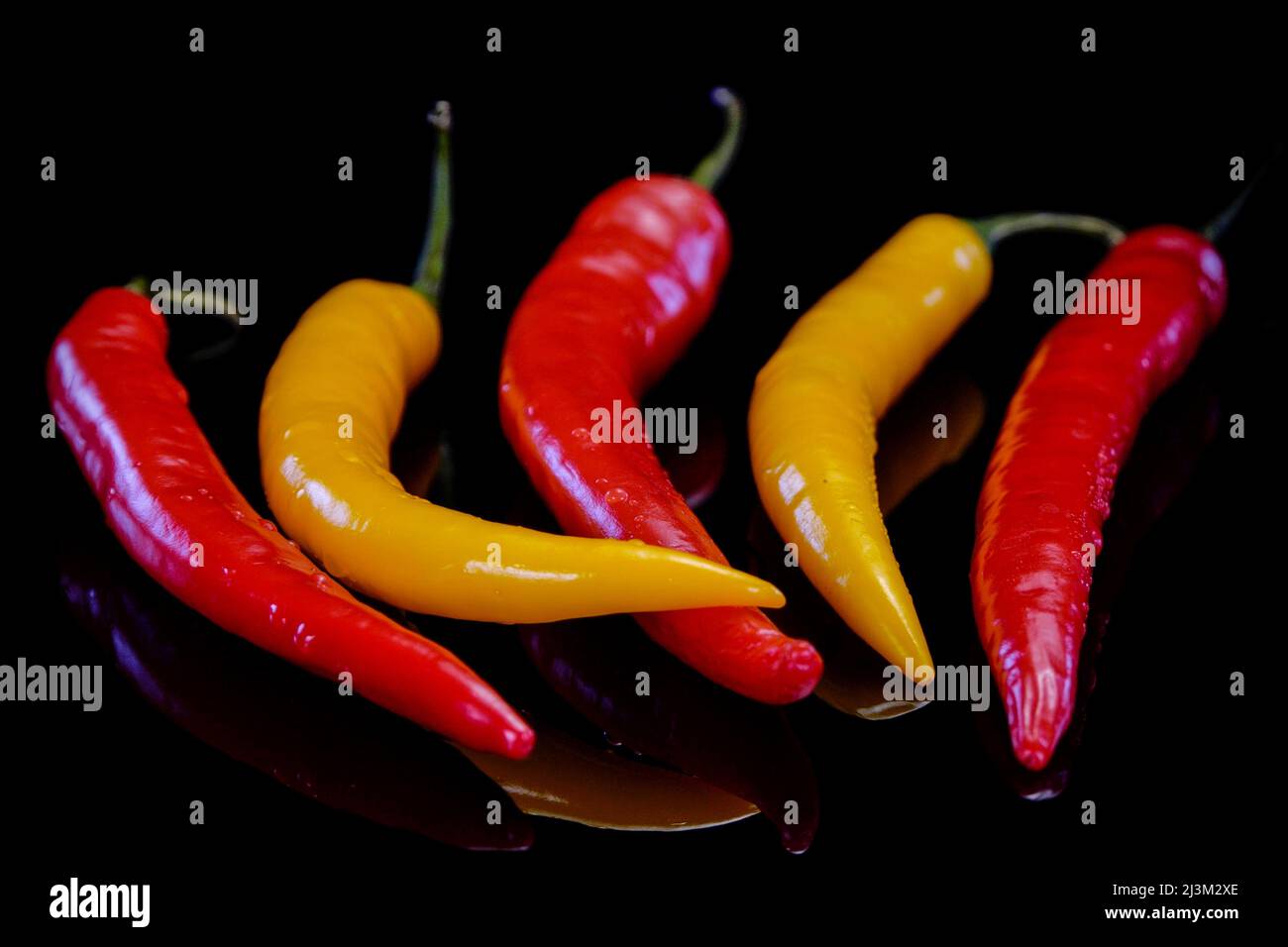 Piments sur fond noir. Piment rouge et jaune frais. Banque D'Images