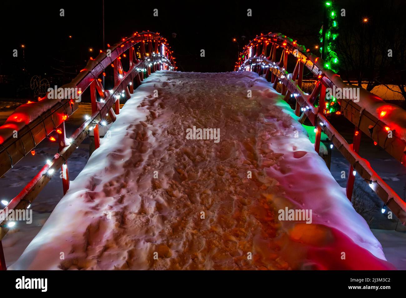 Les lumières de Noël illuminent une passerelle la nuit dans un parc enneigé en hiver; Stony Plain, Alberta, Canada Banque D'Images