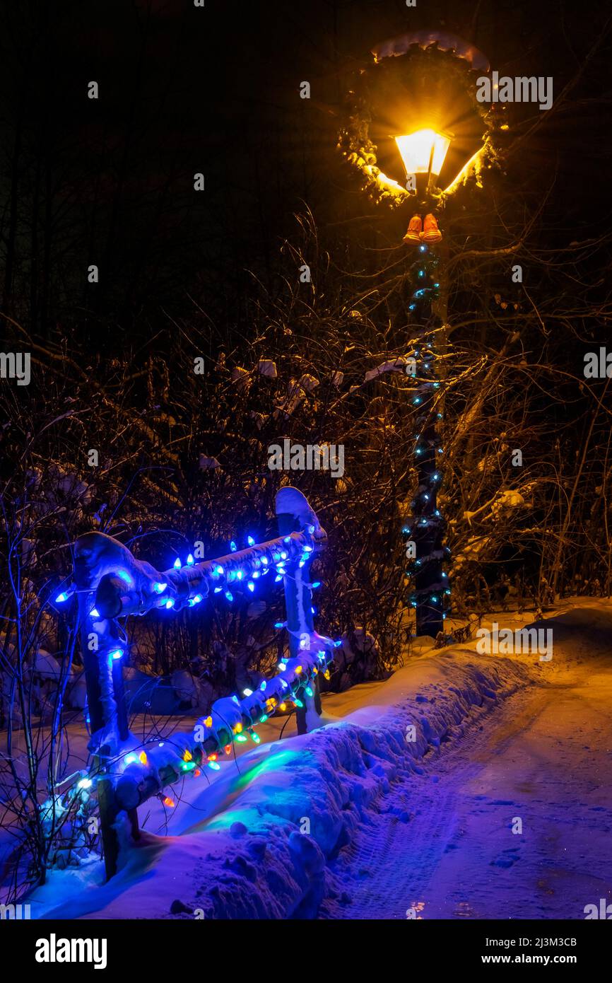 Les lumières de Noël illuminent un sentier la nuit dans un parc enneigé en hiver; Stony Plain, Alberta, Canada Banque D'Images