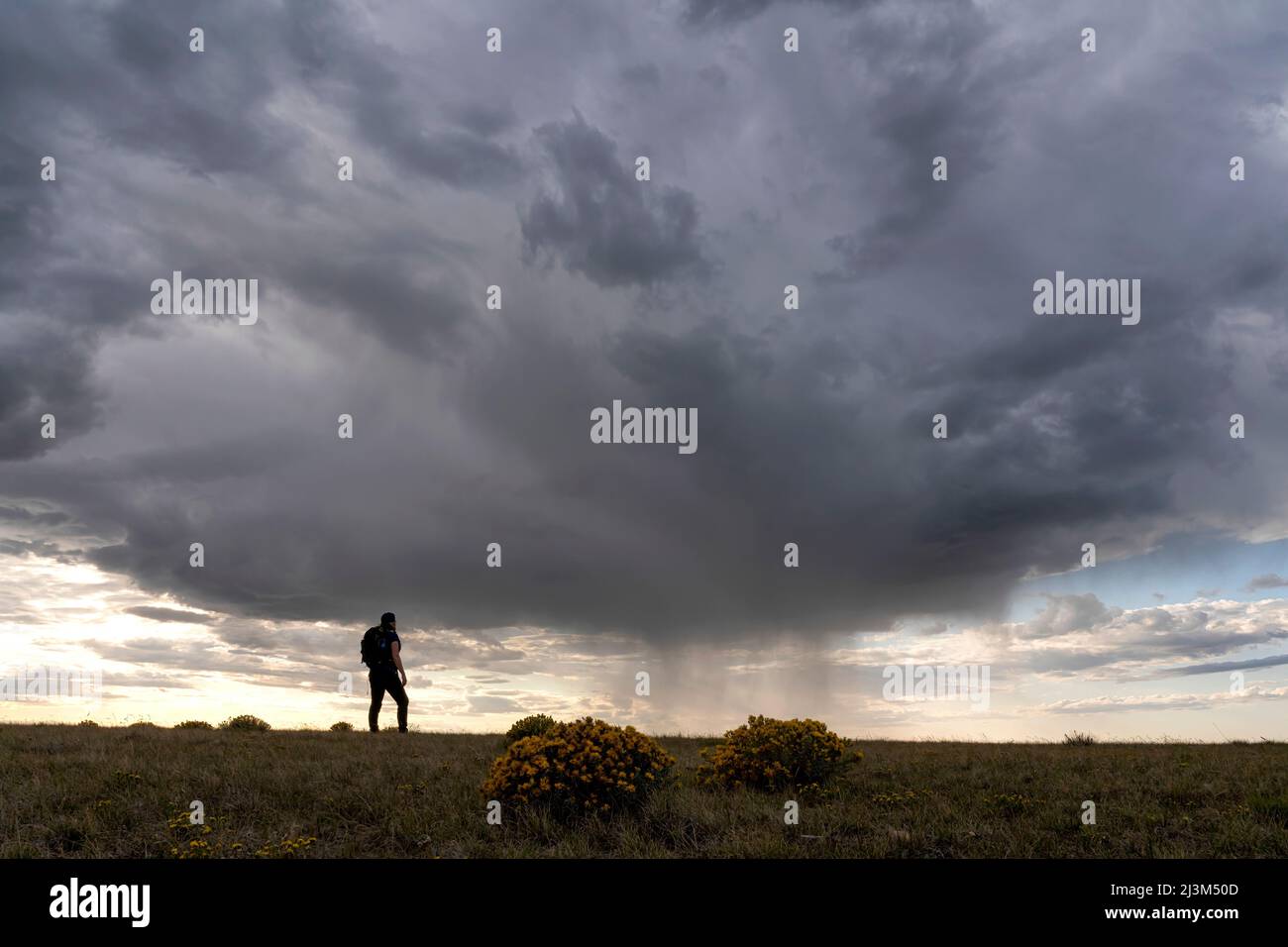 Femme regardant une douche de pluie se dirigeant vers elle dans les Prairies canadiennes; Val Marie, Saskatchewan, Canada Banque D'Images