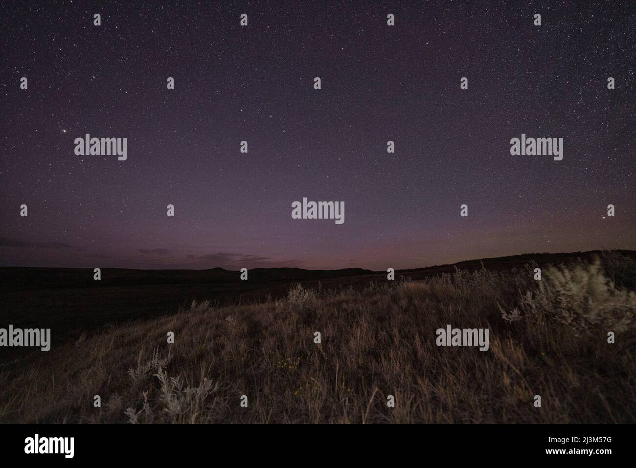 Ciel nocturne avec des milliers d'étoiles au-dessus de la Saskatchewan; Wood Mountain, Saskatchewan, Canada Banque D'Images