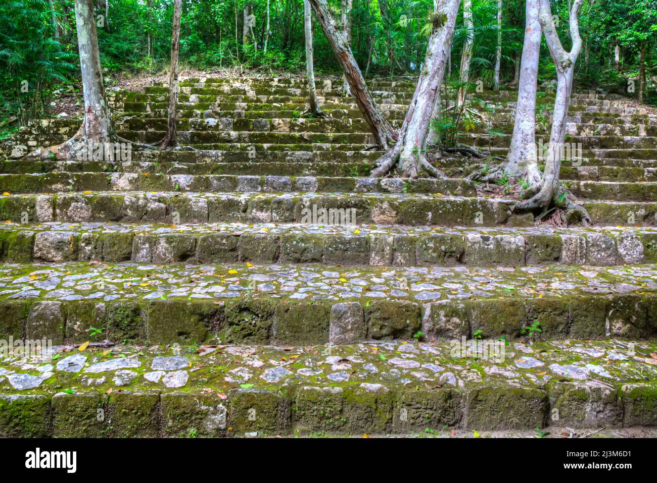 Étapes de la structure IV-A (structure non excavée), Groupe central, zone archéologique de Balamku, ruines mayas, État de Campeche, Mexique Banque D'Images