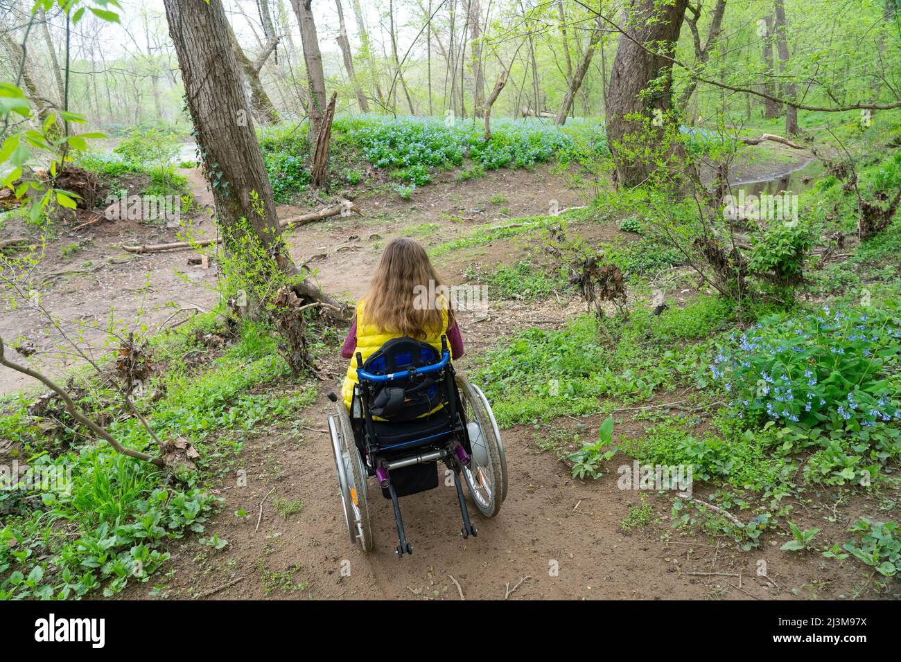 Fille en fauteuil roulant sur un sentier accidenté pour explorer les fleurs sauvages au bord du fleuve Potomac; Cabin John, Maryland, États-Unis d'Amérique Banque D'Images