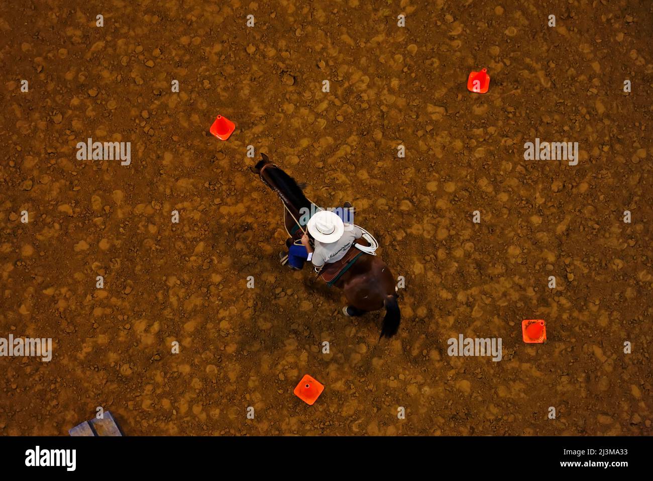 Vue directement au-dessus d'un homme en compétition avec son cheval sauvage dans l'Extreme Mustang Makeover ; Fort Worth, Texas, États-Unis d'Amérique Banque D'Images