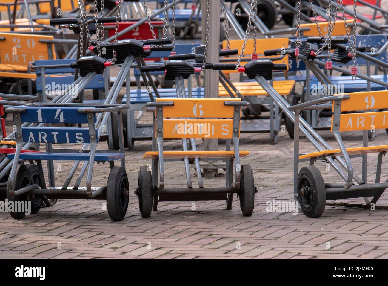 Gros plan Baby Buggies au zoo Artis d'Amsterdam aux pays-Bas Banque D'Images