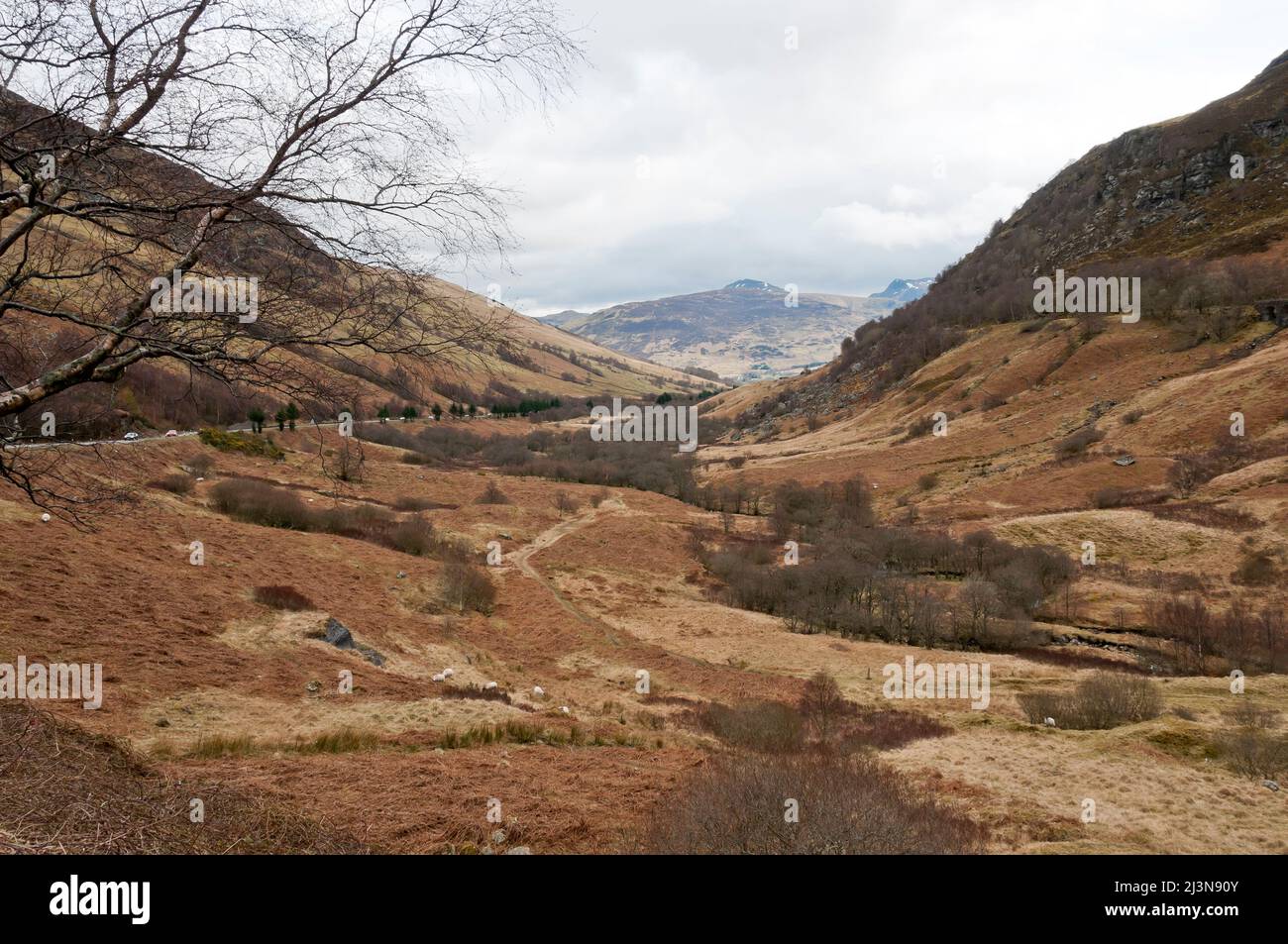 Glen Ogle, Lochearnhead, Écosse Banque D'Images