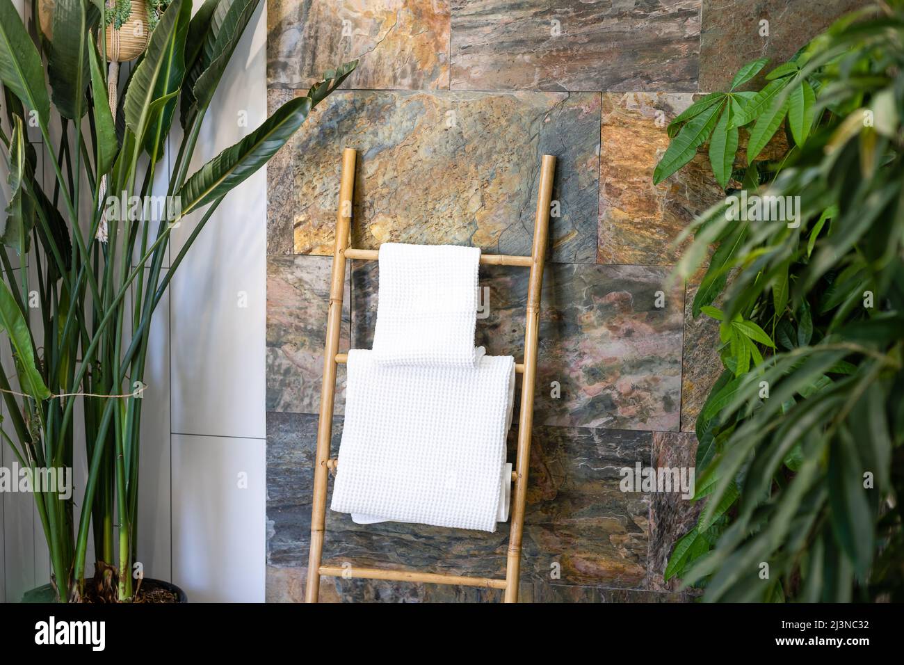 Un fragment de l'intérieur avec des plantes d'intérieur en pot et des palmiers.Jardinage à la maison.Les plantes de maison et la jungle urbaine concept. Banque D'Images