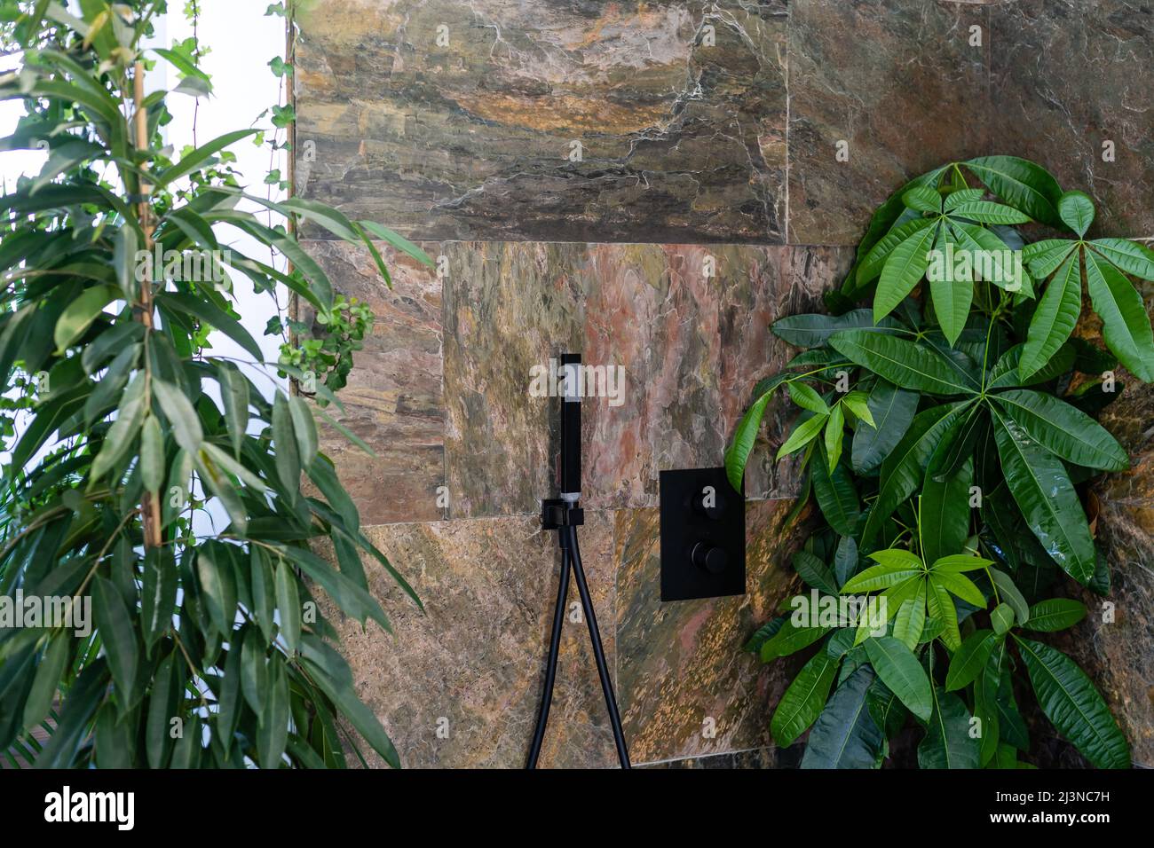 Un fragment de l'intérieur avec des plantes d'intérieur en pot et des palmiers.Jardinage à la maison.Les plantes de maison et la jungle urbaine concept. Banque D'Images